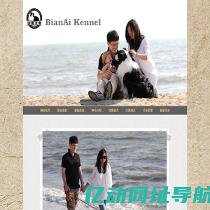 边爱犬舍_双血统边境牧羊犬_赛级边境牧羊犬_辽宁边境牧羊犬_CKU边境牧羊犬
