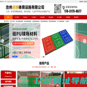 沧州点球体育设施有限公司-塑胶跑道,硅PU球场,人工草坪