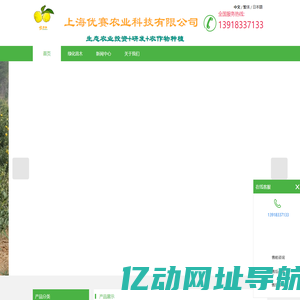 日本柚子与香柚的纯汁魅力