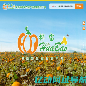 宝清县桦宝农副产品有限责任公司,宝清白瓜子,黑龙江白瓜子,白瓜子,桦宝农产品