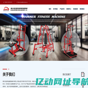 德州宝笛斯通健身器材有限公司_有氧健身器材_健身器材
