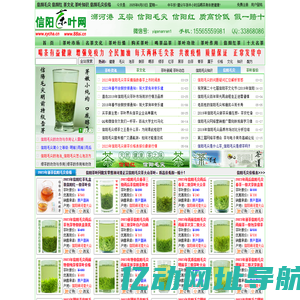 信阳毛尖_信阳红_茶文化_茶叶知识_信阳毛尖价格 - 信阳茶叶网