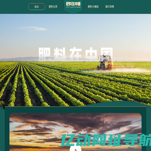 肥料在中国