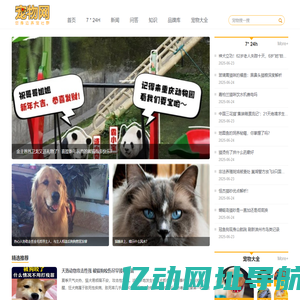 宠物网 您身边养宠社群