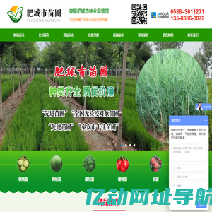 肥城市苗圃,核桃苗价格,侧柏苗批发,黑松苗价格,樱桃苗批发,桃树苗,银杏树苗批发,柳树苗价格,绿化苗批发