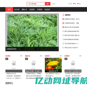花木知识 - 花木趣
