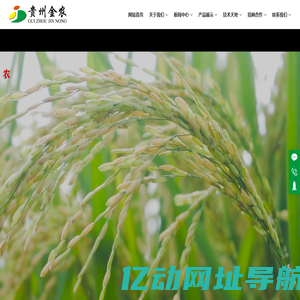 贵州金农科技有限责任公司-水稻种子,玉米种子,油菜种子