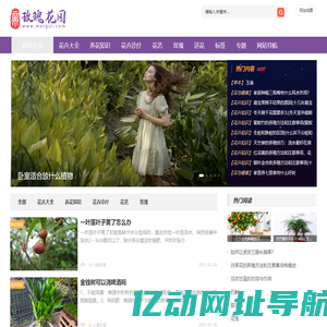植物之家,玫瑰花养殖,鲜花养殖,您身边的养花专家【玫瑰花园】