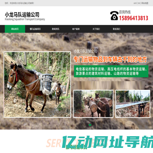 杭州马帮运输队-杭州骡子运输队-杭州马队运输-小龙马队运输公司