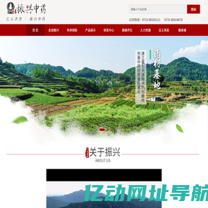 振兴中药：传承中医药品质、坚守中医药情怀、弘扬中医药文化