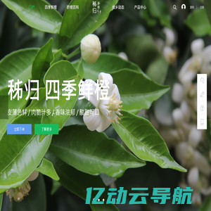 亭湖文峰街道政务服务网