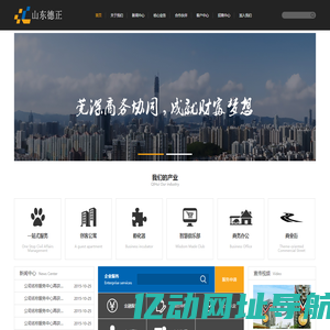 山东德正