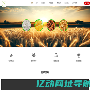 五谷粮油
