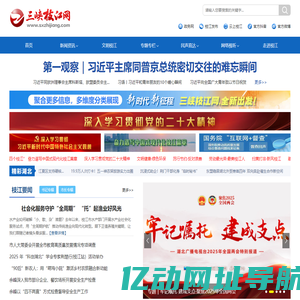 三峡枝江网