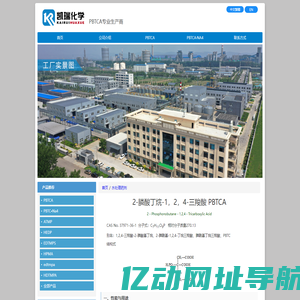 PBTCA|PBTC|膦酰基丁烷三羧酸|pbtca生产厂家|pbtc价格|PBTCA·Na4|阻垢缓蚀剂|阻垢剂|缓蚀剂