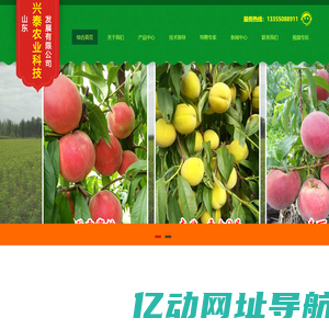-山东兴泰农业科技发展有限公司