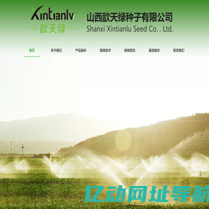 山西歆天绿种子有限公司,西葫芦种子,南瓜种子