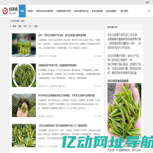 兰花香安吉白茶价格多少钱一斤【图片、品牌、批发】高山白茶礼盒装 | 白茶阁