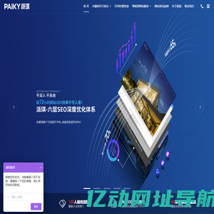 上海SEO优化_网络营销推广外包服务_谷歌优化代运营-PAIKY派琪网络
