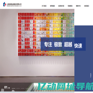 上海宝钢包装股份有限公司