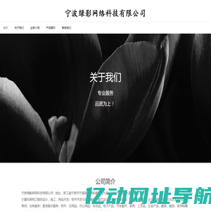 宁波绿影网络科技有限公司