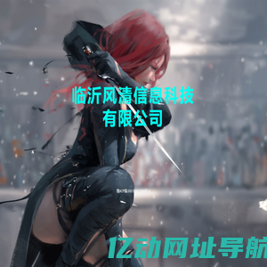 临沂风清信息科技有限公司