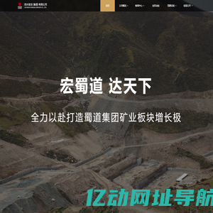 四川宏达（集团）有限公司