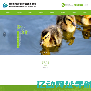 广西湛宁农牧科技有限公司|广西桂柳鸭|湛宁杂交鸭
