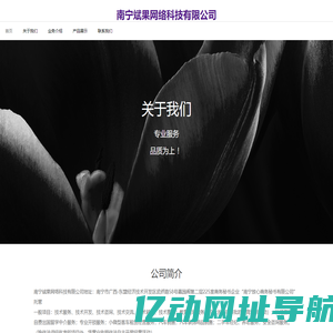 南宁斌果网络科技有限公司