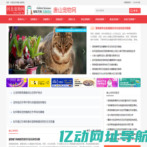 中宠网 - 唐山宠物网