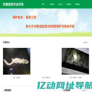 安徽森育农业科技有限公司-大鲵（娃娃鱼）养殖基地-阜阳太和大鲵（娃娃鱼）养殖