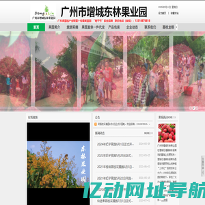 广州市增城东林果业园 摘荔枝 增城荔枝 增城荔枝园 增城摘荔枝 广州周边摘荔枝 挂绿荔枝 桂味荔枝 糯米糍荔枝 甜岩荔枝 妃子笑荔枝 增城荔枝一日游