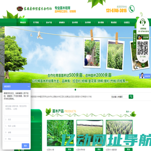 东安县恒信苗木种植农民专业合作社_湖南永州红豆杉|桢楠|金花茶|优质苗木|珍稀苗木|竹柏