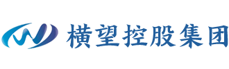 安徽横望控股集团有限公司