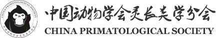 中国动物学会灵长类学分会