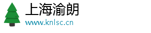 上海渝朗科技有限公司