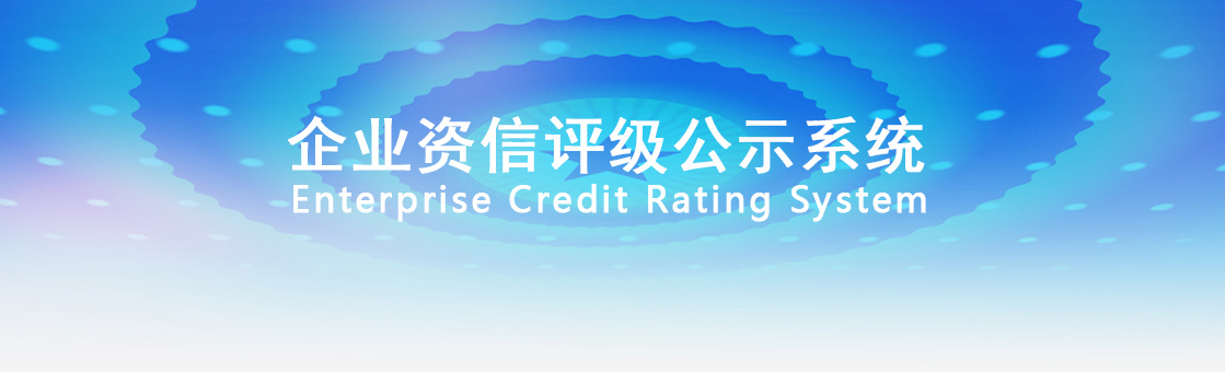 企业资信评级系统