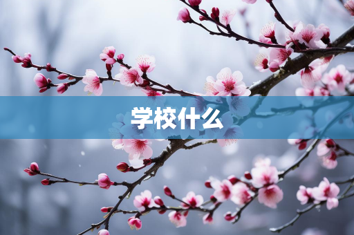 高一点网