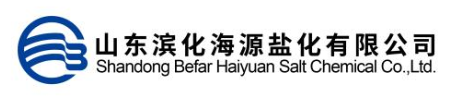 山东滨化海源盐化有限公司- 首页