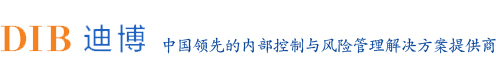 迪博企业风险管理技术有限公司