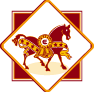 北京天星调良国际马术俱乐部