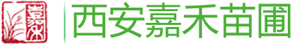 西安酒店花卉租摆|绿植租赁|嘉禾苗圃酒店绿植租摆花卉租赁