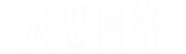 灵思网络