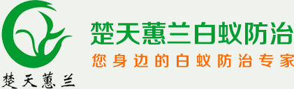 武汉白蚁防治|光谷白蚁防治中心|武昌白蚁防治所|湖北楚天蕙兰白蚁防治公司