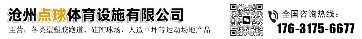 沧州点球体育设施有限公司-塑胶跑道,硅PU球场,人工草坪