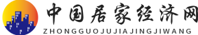 中国居家经济网