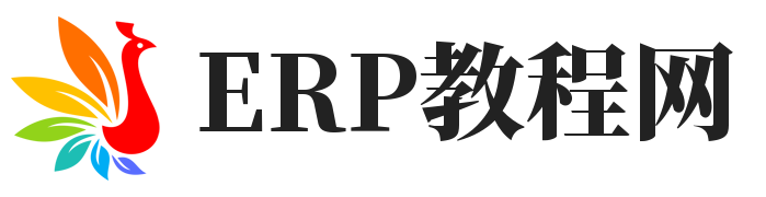 ERP系统教程网 – 金蝶用友erp系统视频教程常见问题