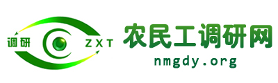 农民工调研网 - 全国政务信息一体化应用平台