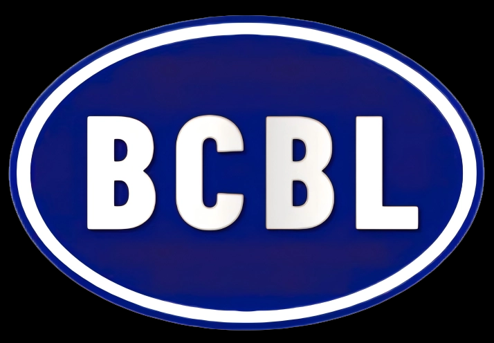 Mini Electric Car, Electric Pickup Truck, New Energy Car Manufacturer & Supplier - BCBL
