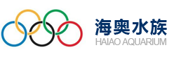 大型鱼缸定做|水族工程|亚克力泳池生产厂家-上海海奥水族